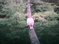 photos 2000-200901353